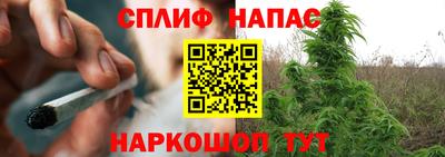 стаф Краснодар