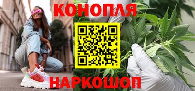 стаф Краснодар