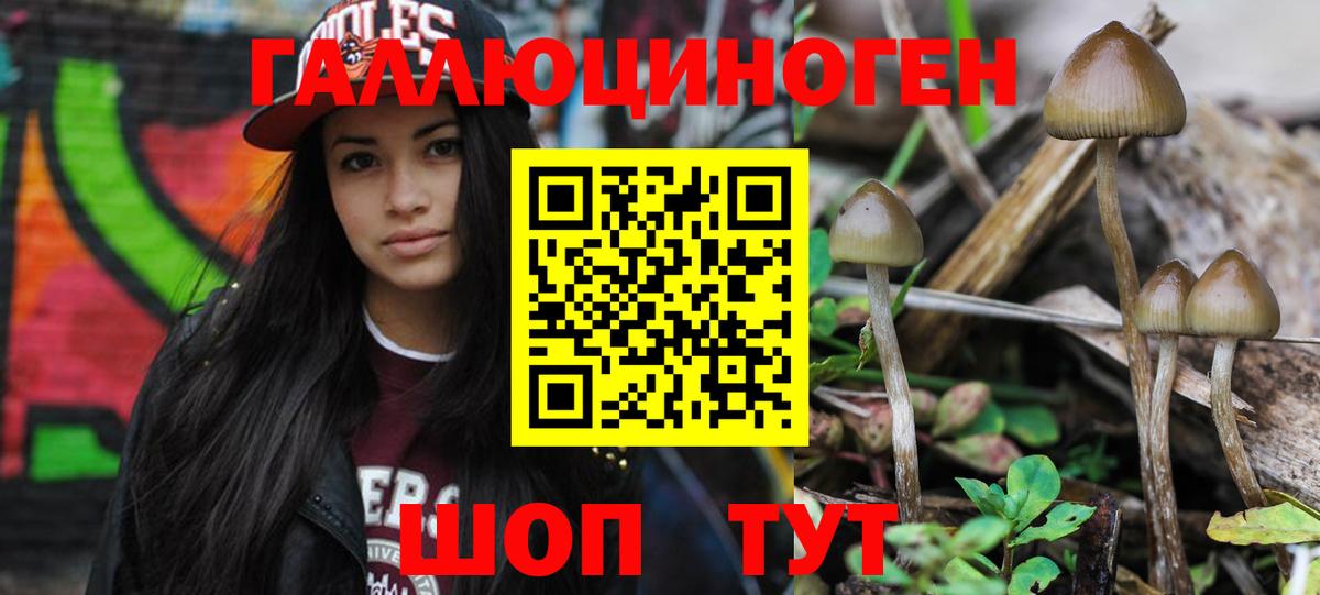 Псилоцибиновые грибы MAGIC MUSHROOMS  Вход с VPN  Кирово-Чепецк 
